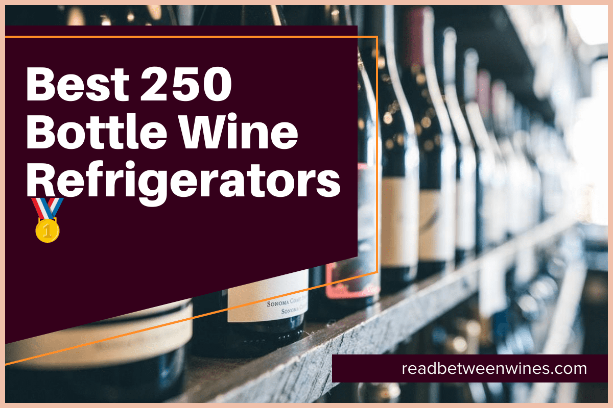 5 Best 250Bottle Wine Refrigerators [April 2024]🥇