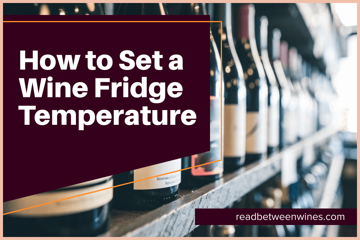 How To Set A Wine Refrigerator's Temperature [July 2024]🥇