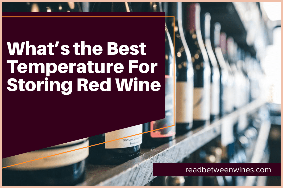 What’s The Best Temperature For Storing Red Wine [January 2023]🥇