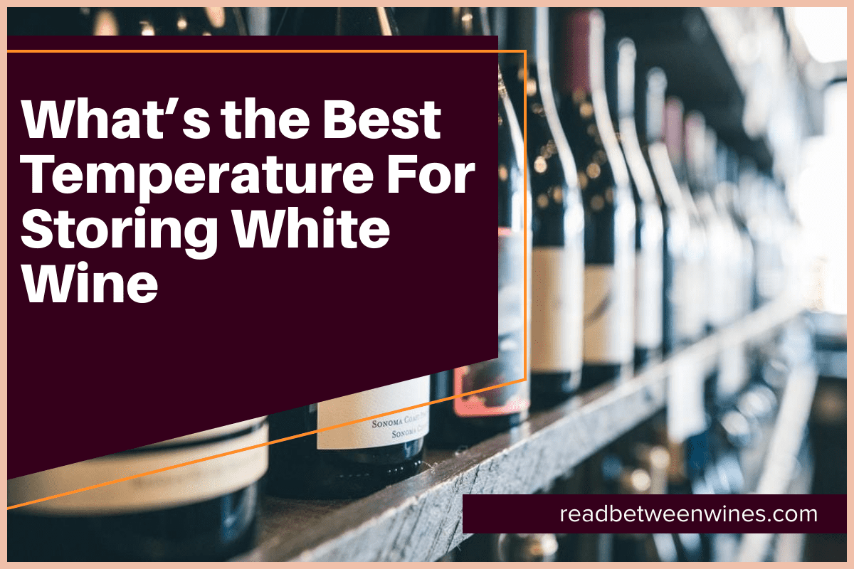 What's The Best Temperature For Storing White Wine [February 2024]🥇