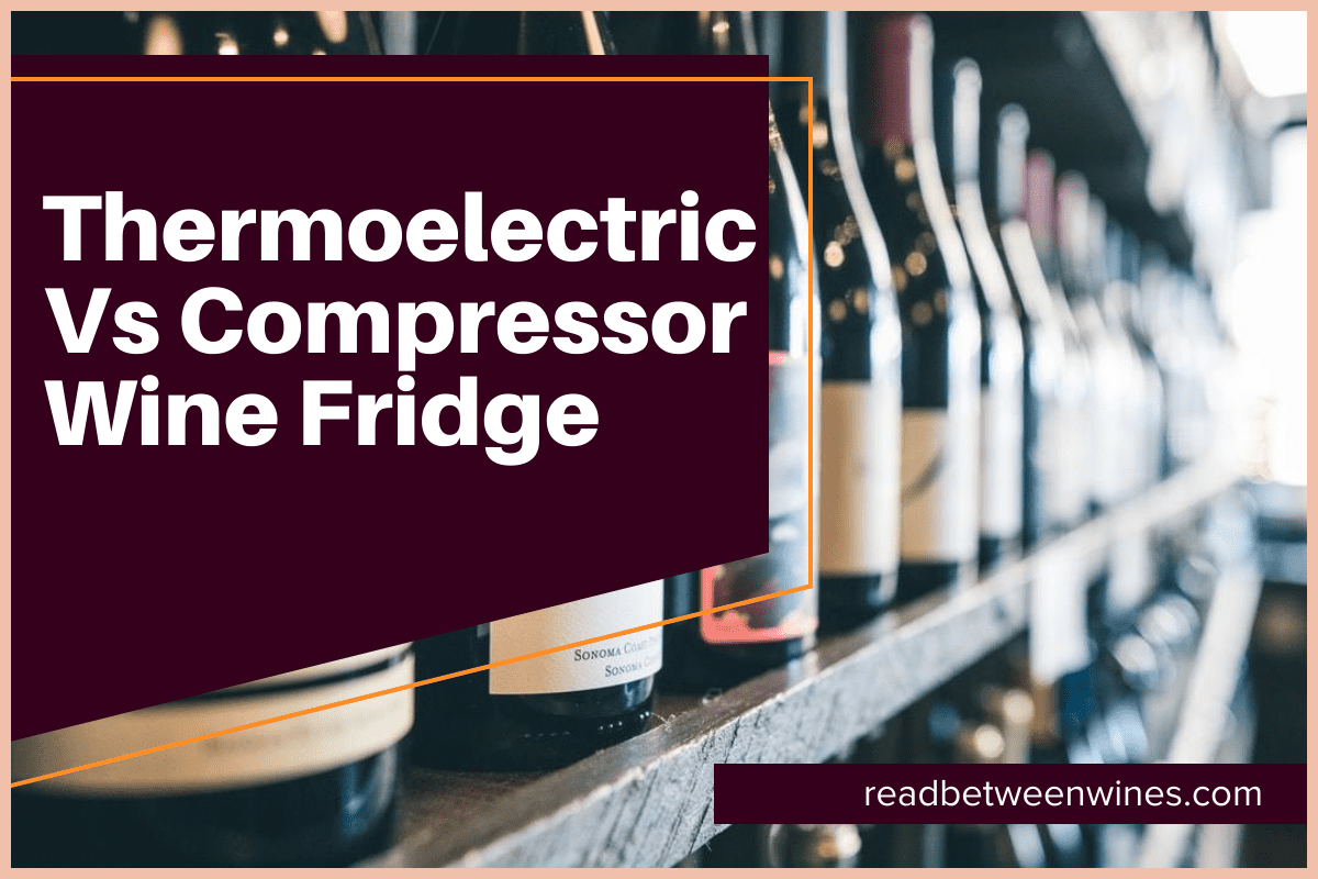 Thermoelectric Vs Compressor Wine Fridge [February 2023]🥇