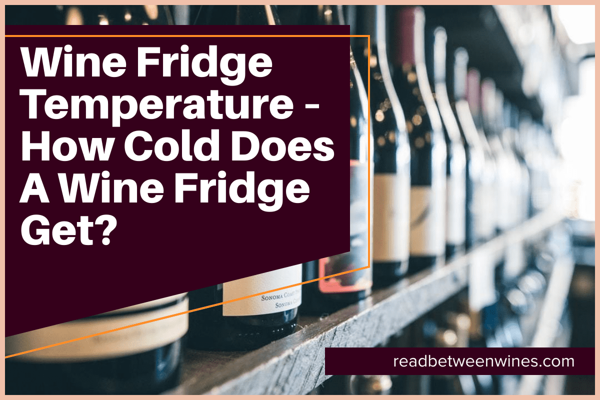 Wine Fridge Temperature How Cold Does A Wine Fridge Get? [July 2024]🥇