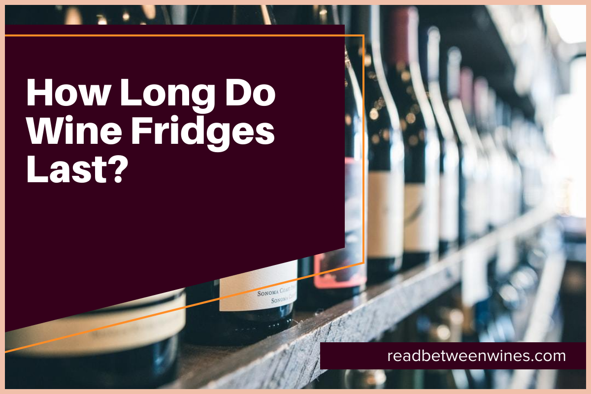 How Long Do Wine Fridge Last? [February 2024]🥇